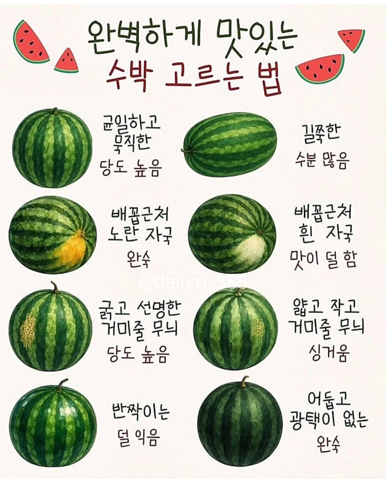 맛있는 수박 고르기 기억하세요^^
