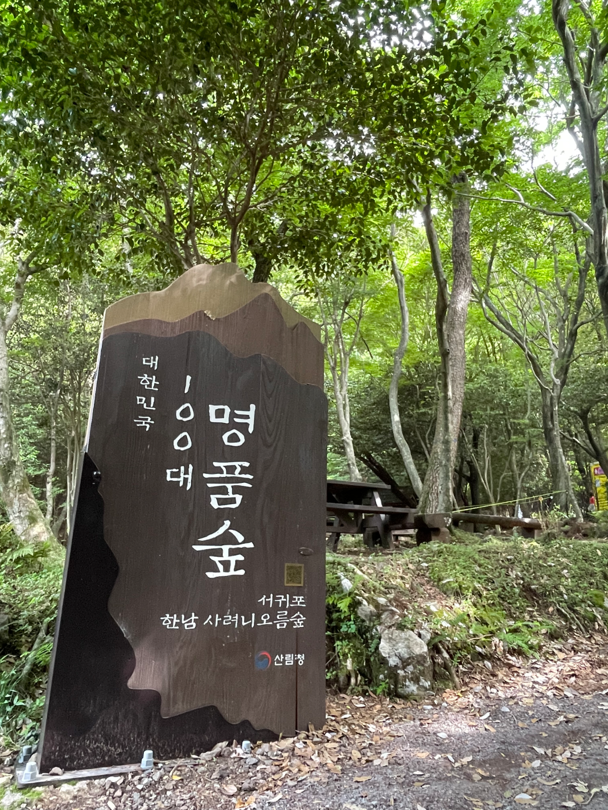 서귀포 한남 사려니오름숲